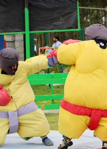 Sumo Fight